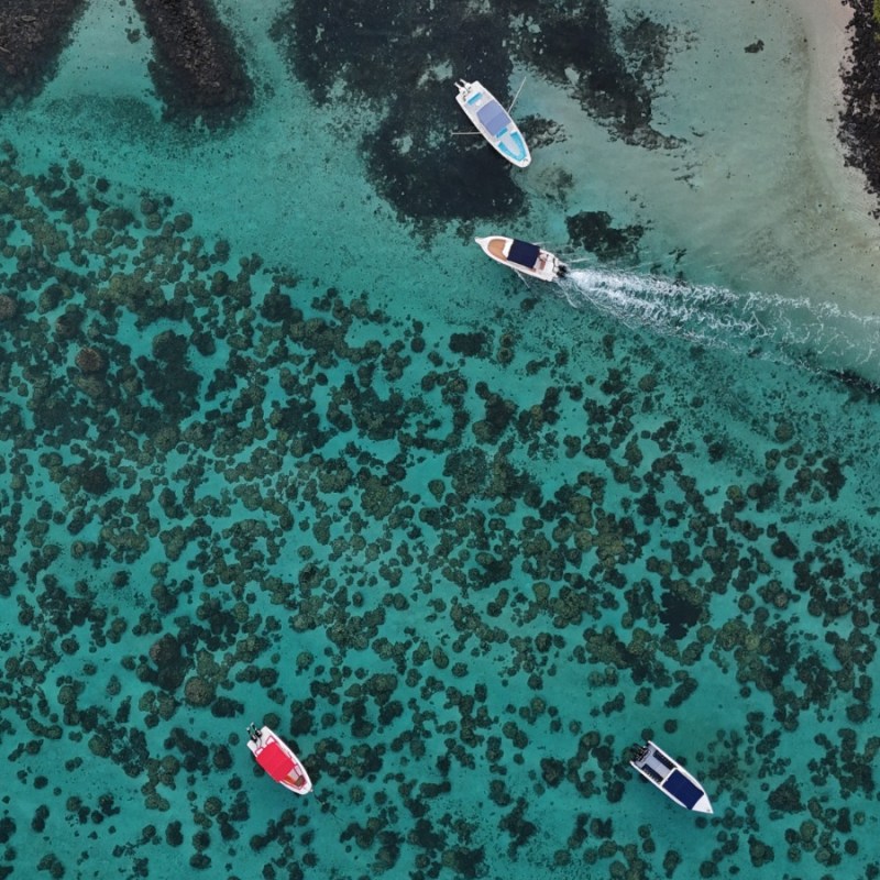 Mauritius or Maldives: Which Dream Escape Is Right for&nbsp;You?